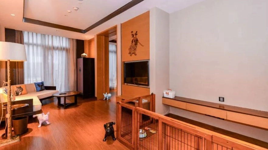 彰化寵物兩天一夜行程攻略：帶毛孩住寵物旅館、逛景點全指南