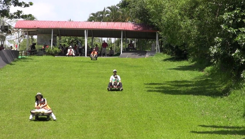 走馬瀨農場一日遊全攻略：行程規劃、景點推薦與省錢秘訣