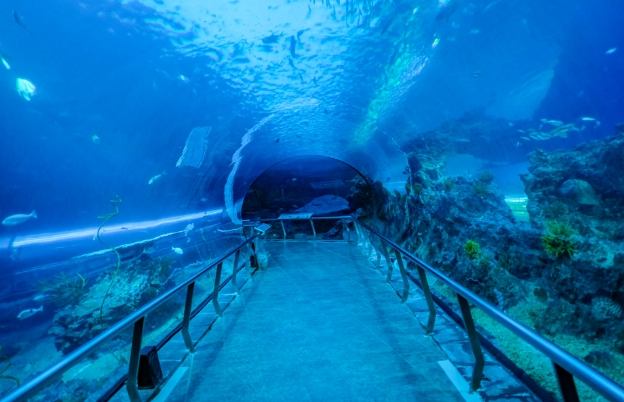 屏東海生館兩天一夜行程