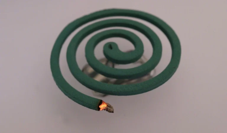 蚊香蚊子會死嗎