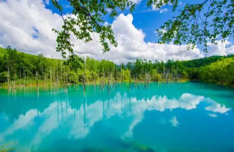 北海道自駕心得