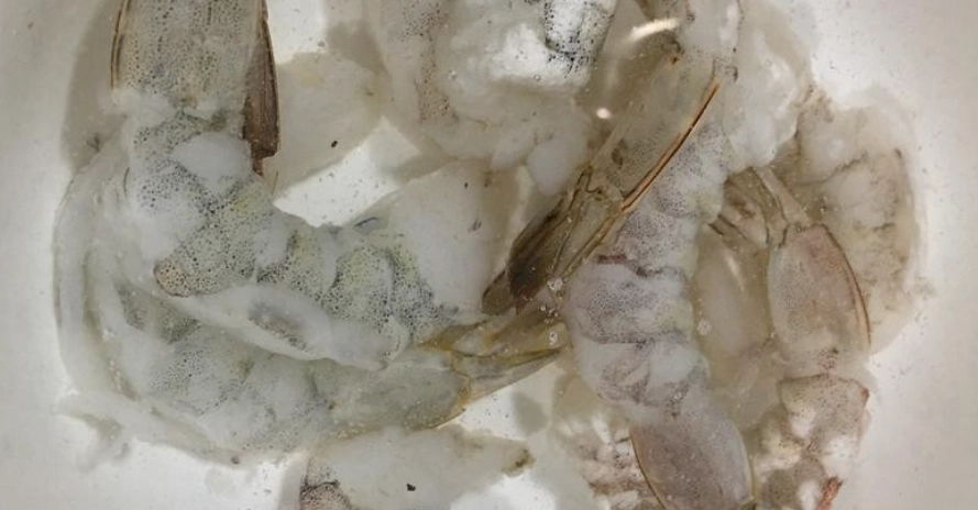 急凍蝦仁解凍全攻略：3種正確方法與5大錯誤避免，保持鮮甜彈牙