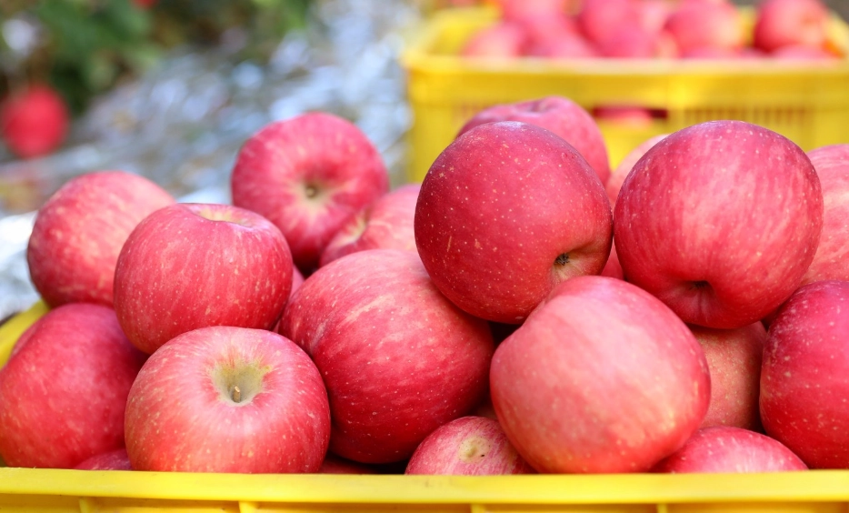 上班提神方法：15個實用技巧擺脫午後疲勞，提升工作效率