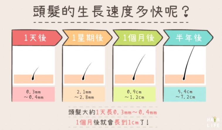 一個月頭髮長5公分
