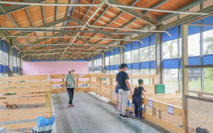 正實親子農場寵物