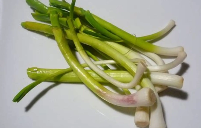 蔥薑蒜冷凍保存