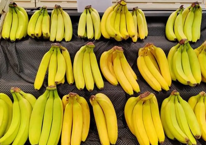 香蕉冰箱保存全攻略：避免变黑与延长保鲜的秘诀