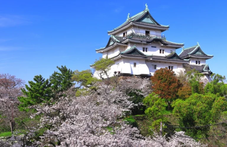 和歌山城一日遊