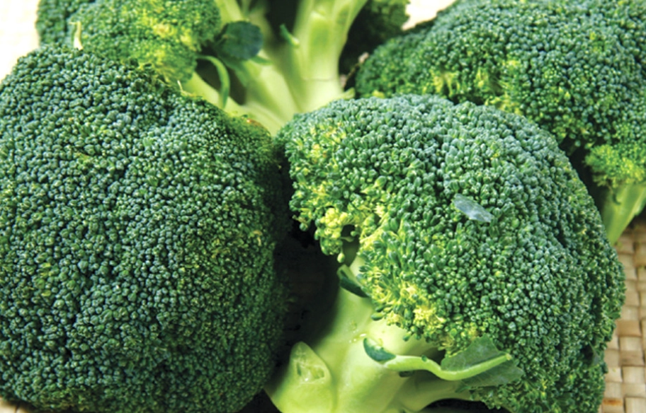 刺青完吃什麼？完整飲食指南與禁忌食物清單