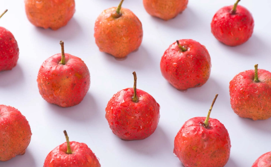 消脂肪肝中藥全攻略：天然療法與實用建議