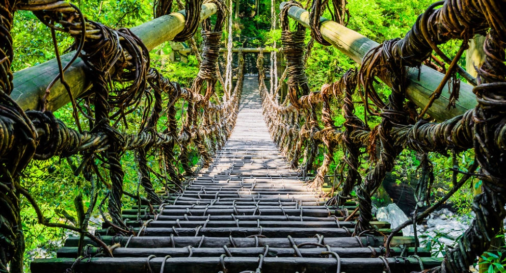 祖谷蔓橋停車場全攻略：自駕遊客必讀的停車資訊與周邊景點指南