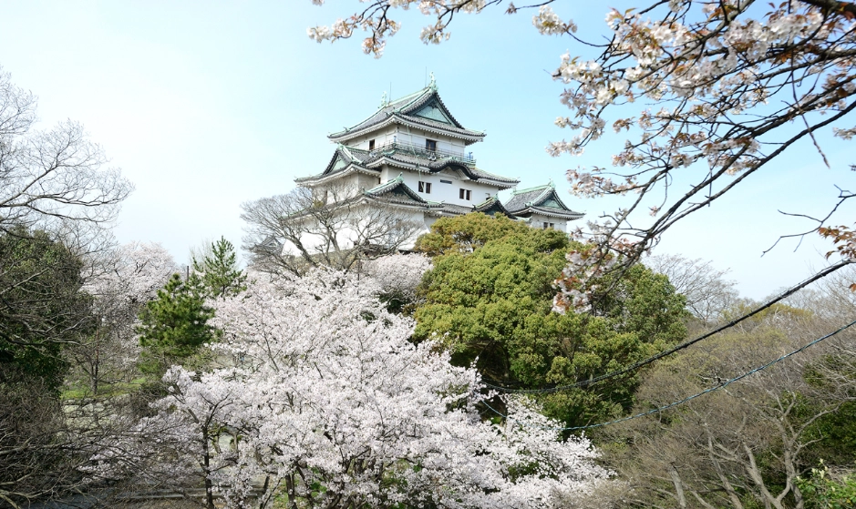大阪到和歌山一日遊終極攻略：交通、景點、行程懶人包