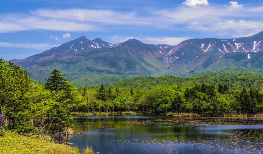 北海道泊車終極指南：省錢秘訣、熱點推薦與常見問題全解析