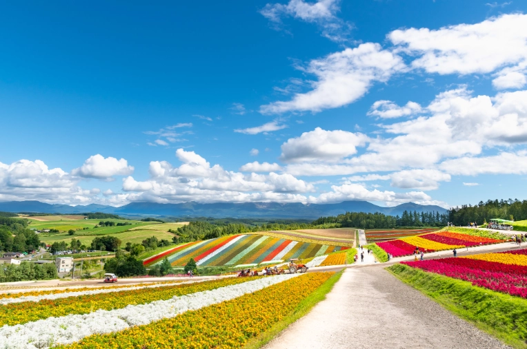 北海道自駕交通規則