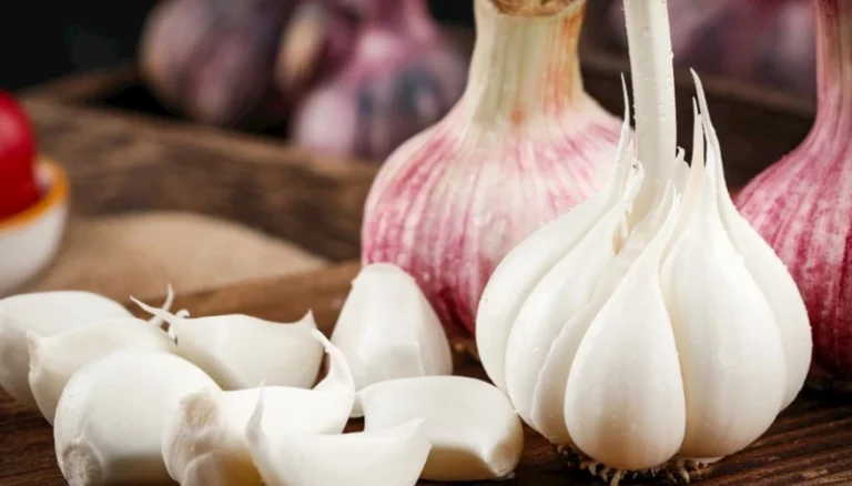 蒜頭放冰箱發芽