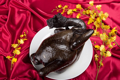 烏骨雞跟一般雞