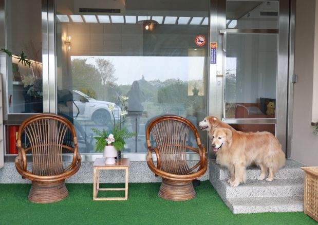 彰化寵物友善住宿