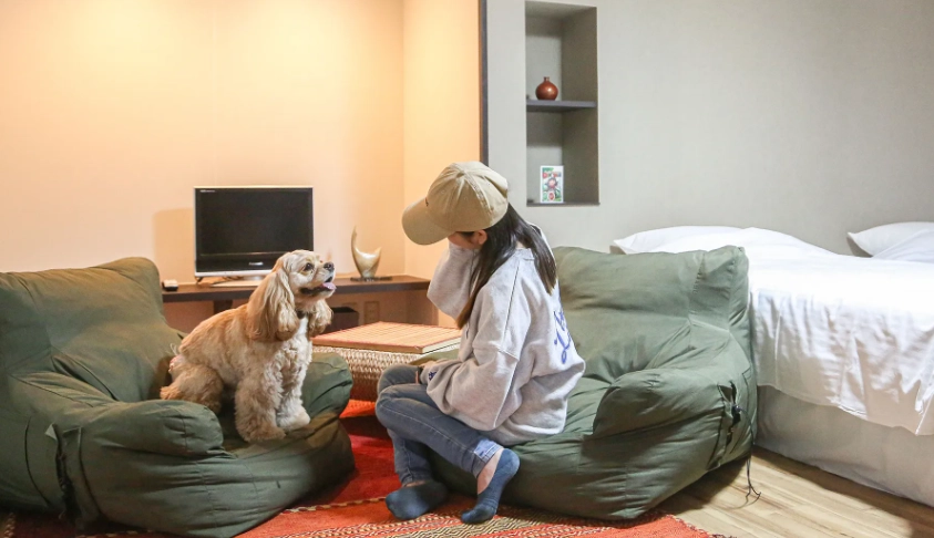 台灣寵物友善飯店推薦：帶毛小孩出遊必看攻略與精選住宿清單