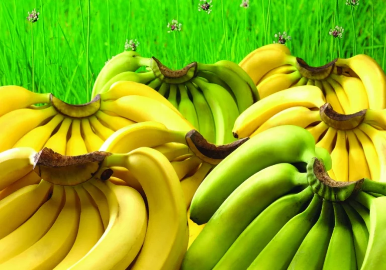 為什麼 香蕉 放冰箱 會 變 黑