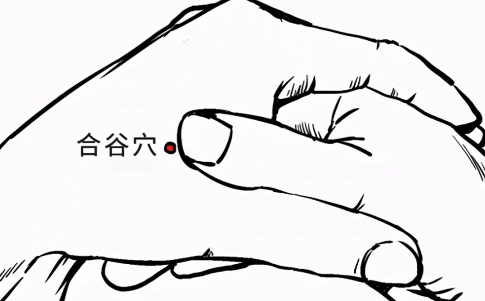 清熱穴道全攻略：10大降火穴位按摩技巧與常見問題解答