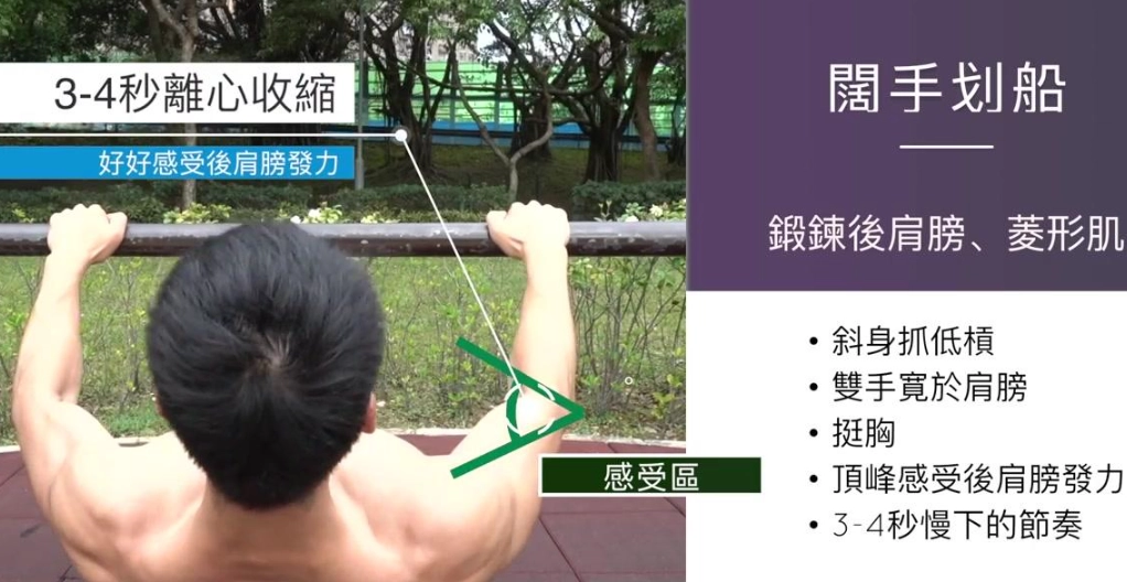 肩膀一週練幾次最有效？完整指南與訓練頻率分析