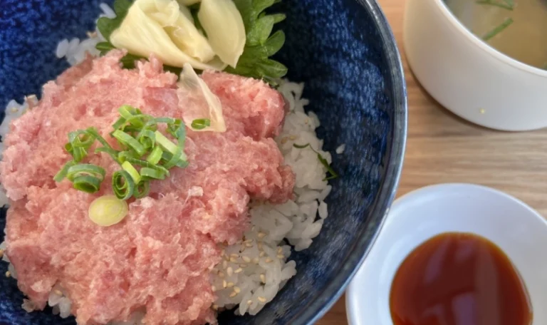 天王寺到和歌山黑潮號