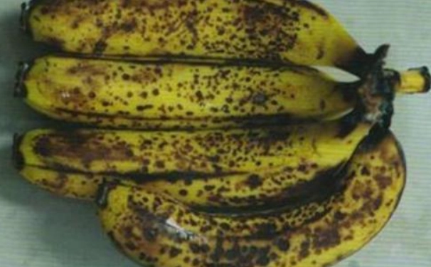 如何保存香蕉不變黑