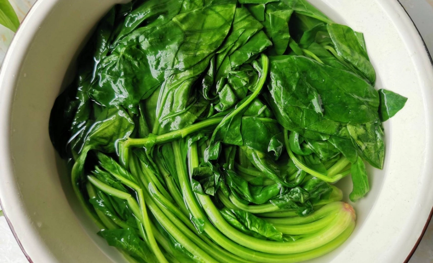 金針花不能和什麼一起吃？3大地雷組合與安全食用指南