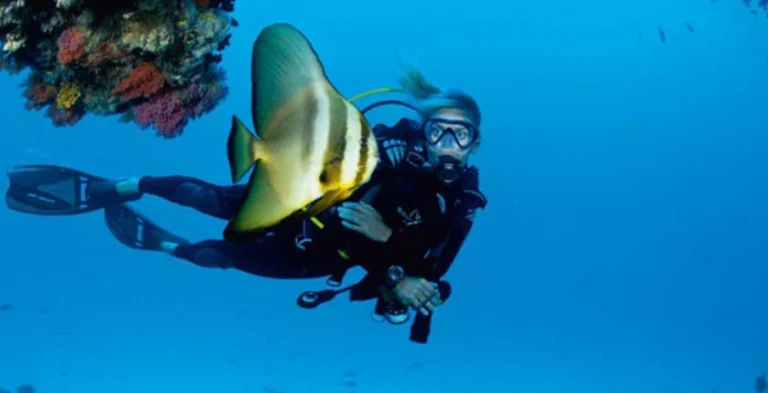 馬爾地夫水肺潛水