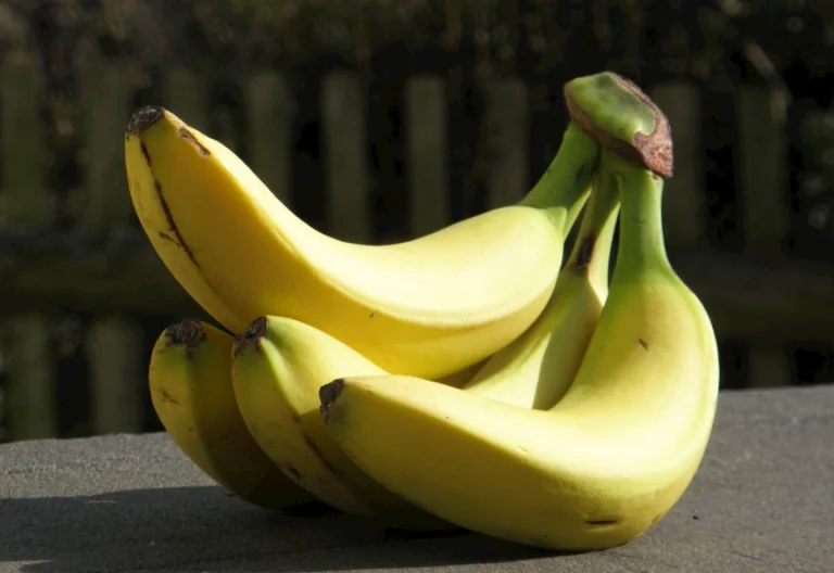 香蕉 不能放冰箱