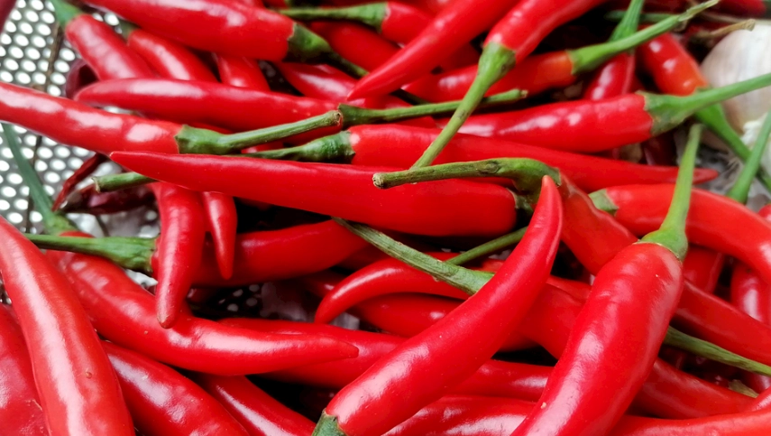 破解辣椒冷凍不辣迷思！正確保存技巧讓辣度不減反增