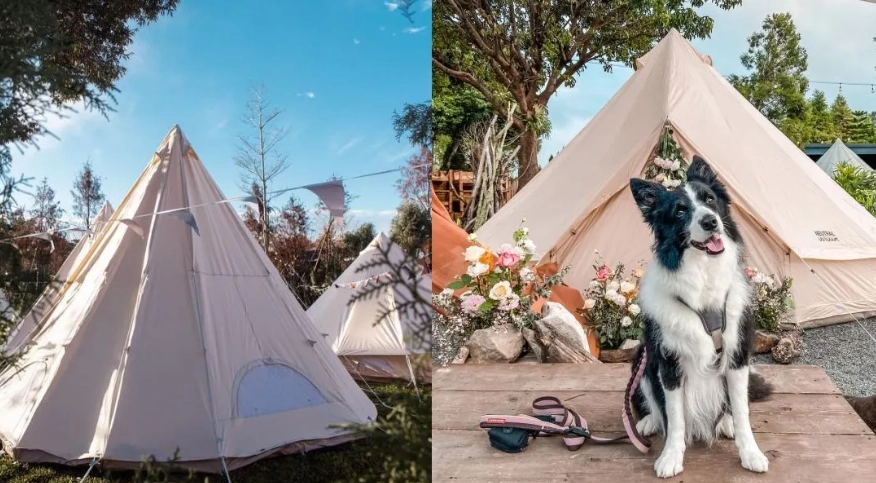 台中寵物友善露營全攻略：推薦營地、行前準備與常見問題解答