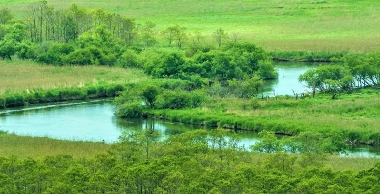 北海道道東夏天自駕