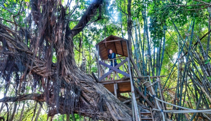 姥姥不老茶文創園區評論