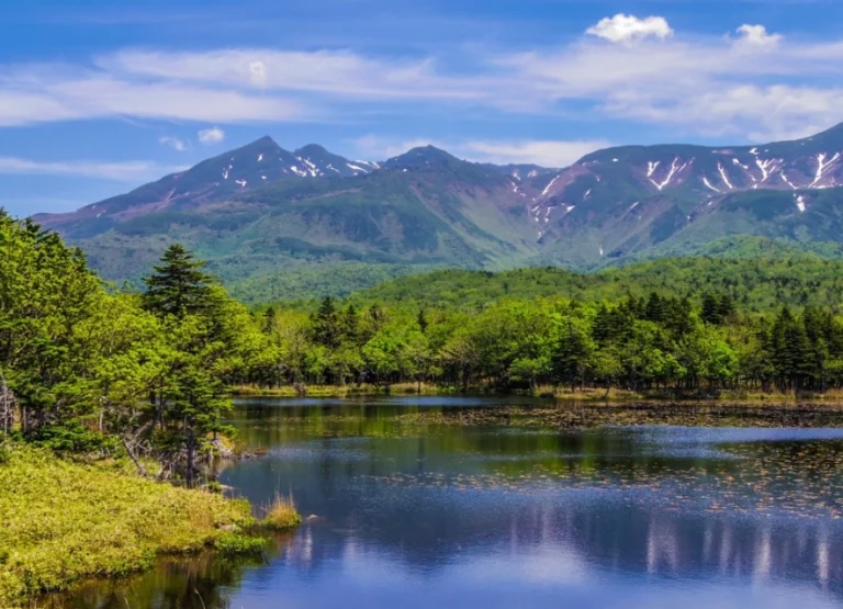 北海道自駕費用