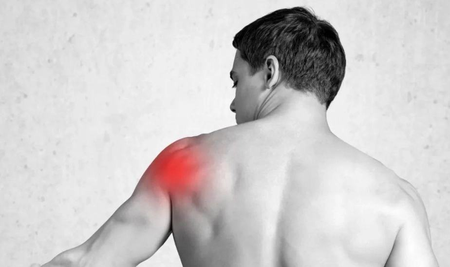 背闊肌痛點完全指南：成因、症狀與自我緩解方法全解析
