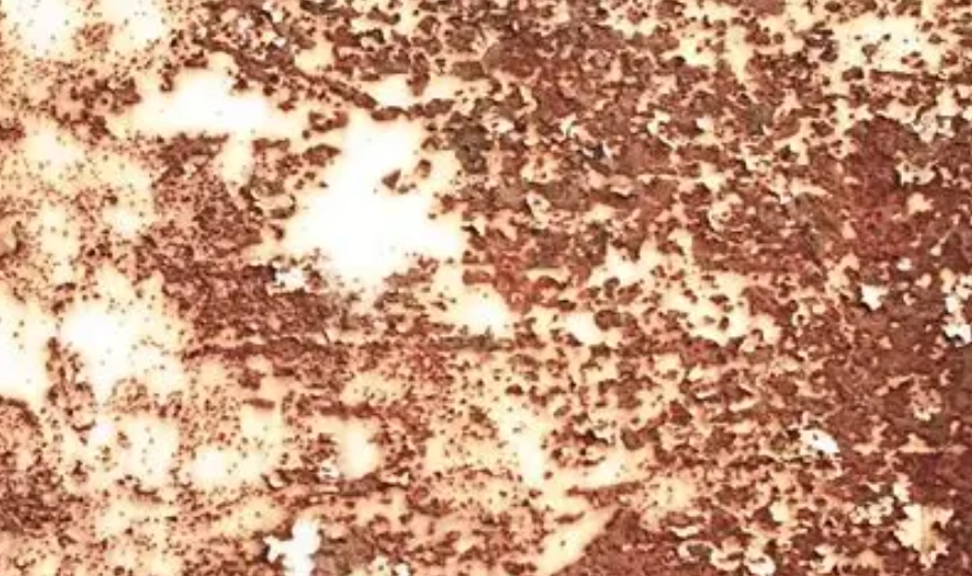 居家除鏽斑全攻略：從原因到預防一次掌握