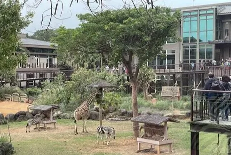 六福莊長頸鹿房型