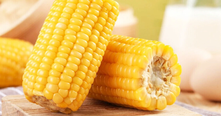 十全大補湯 加料