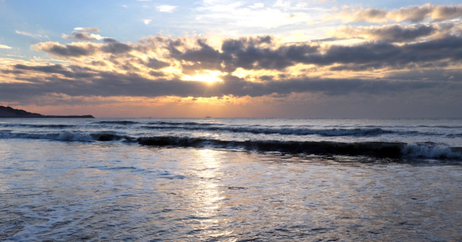 花蓮不開車行程