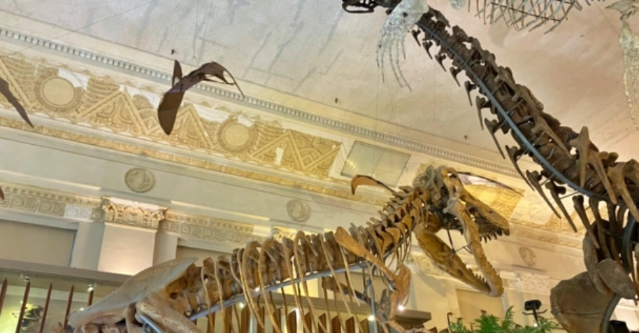 國立台灣博物館