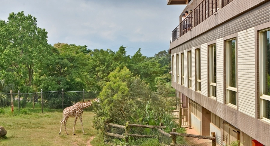 六福村住宿體驗