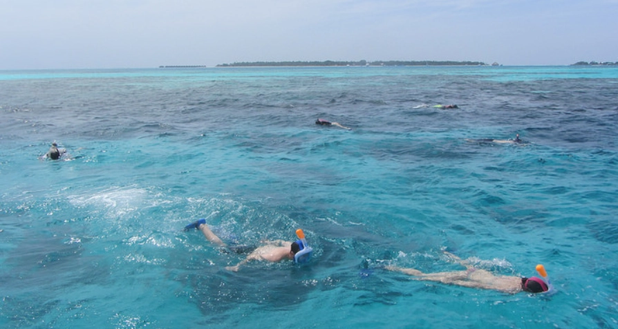 馬爾地夫浮潛島嶼推薦