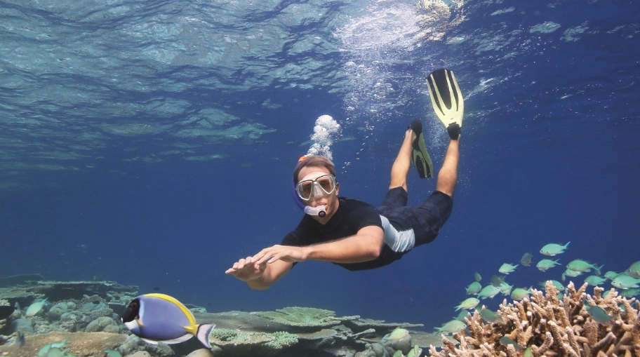 馬爾地夫浮潛島嶼推薦