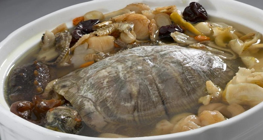 十全大補湯適用人群