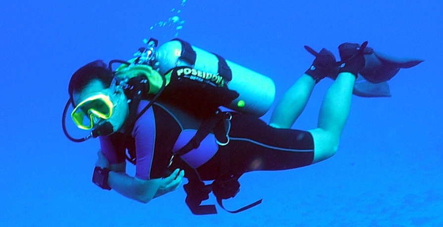 馬爾地夫潛水季節