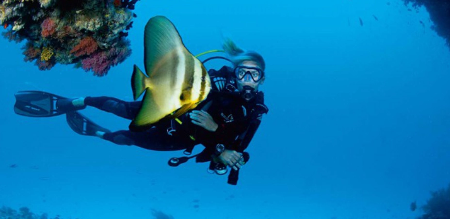 馬爾地夫潛水費用