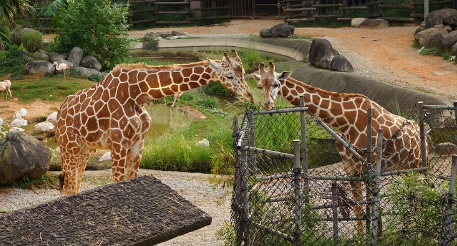 關西六福莊生態度假旅館
