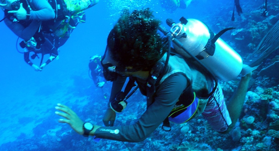 馬爾地夫潛水費用