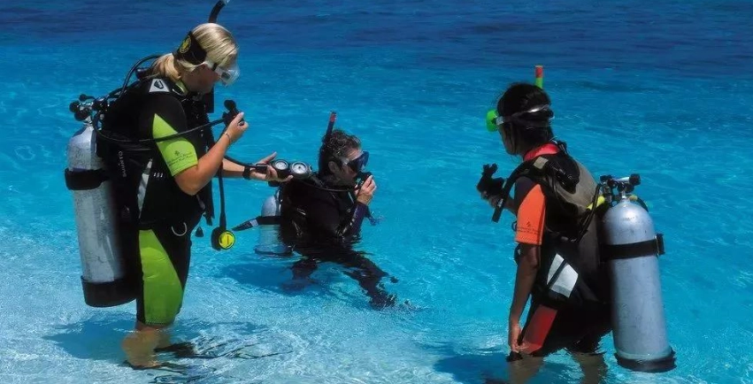 馬爾地夫浮潛等級全攻略：如何挑選你的夢幻島嶼？